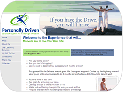 web design sample 14